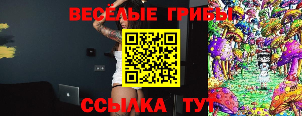 Псилоцибиновые грибы ЛСД Железноводск